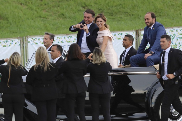 Macaque in the trees