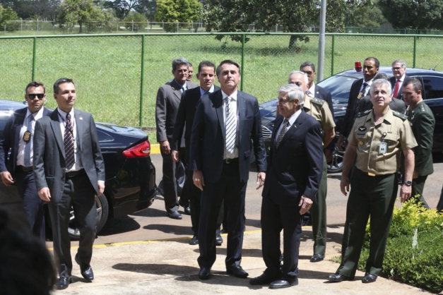 Macaque in the trees