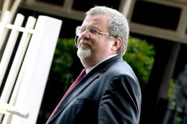 Macaque in the trees