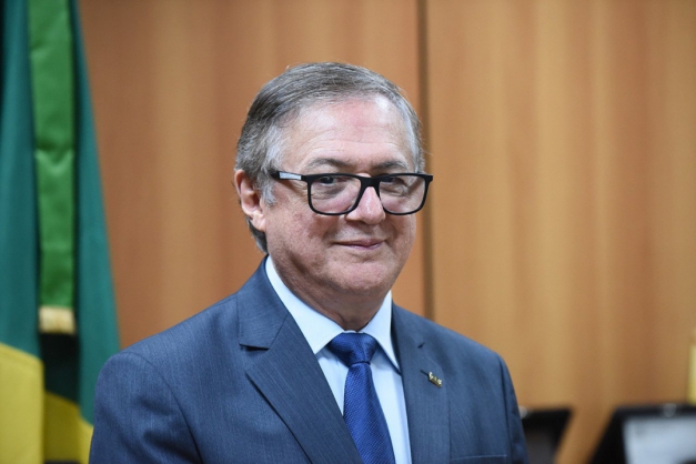 Macaque in the trees