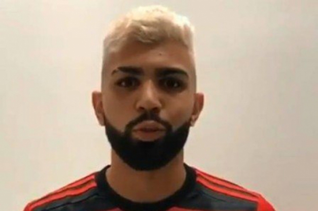 Atacante Gabigol. Macaque in the trees