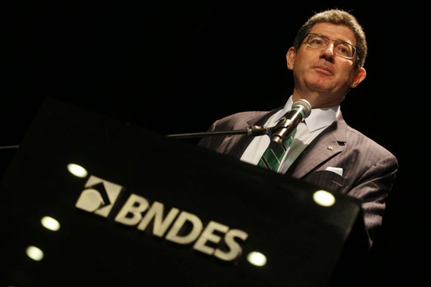 Macaque in the trees