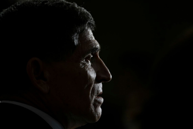 Macaque in the trees