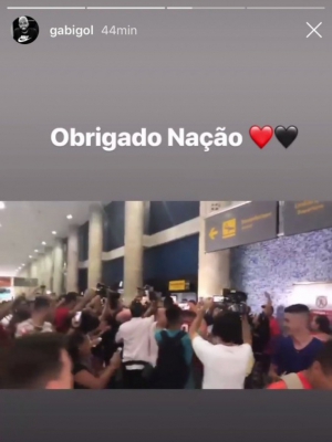 Macaque in the trees