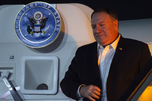 Macaque in the trees