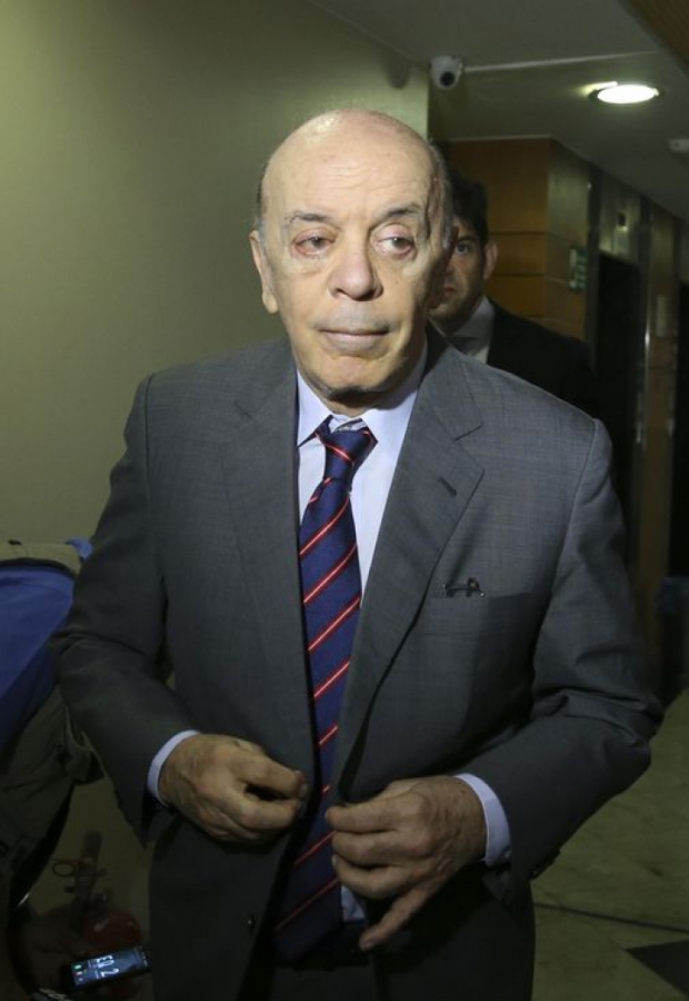 Macaque in the trees