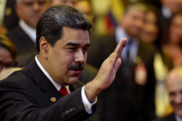 Macaque in the trees