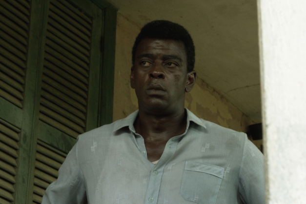 Macaque in the trees