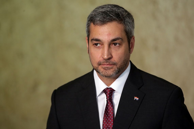 Macaque in the trees