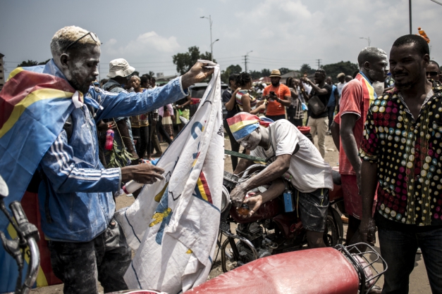 Macaque in the trees