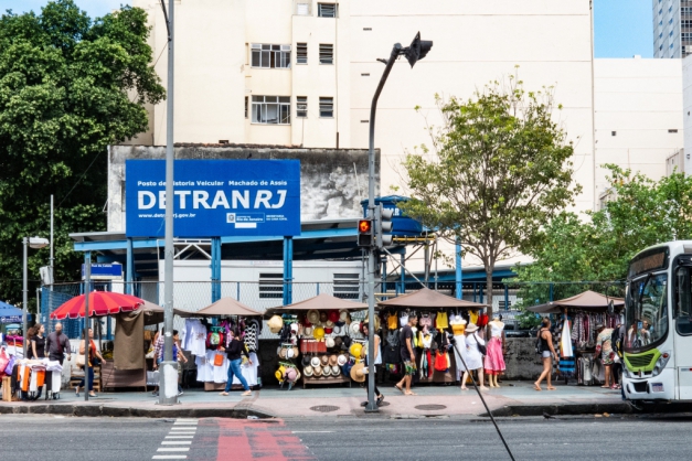 Macaque in the trees