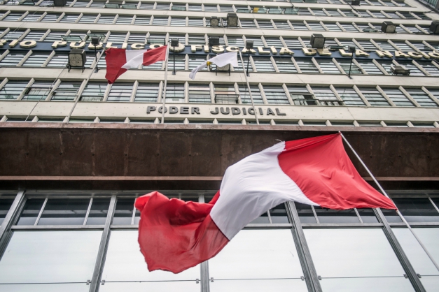 Macaque in the trees