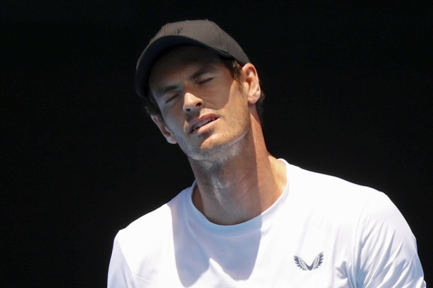 Macaque in the trees