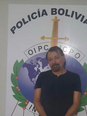 Macaque in the trees