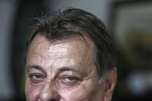 Macaque in the trees