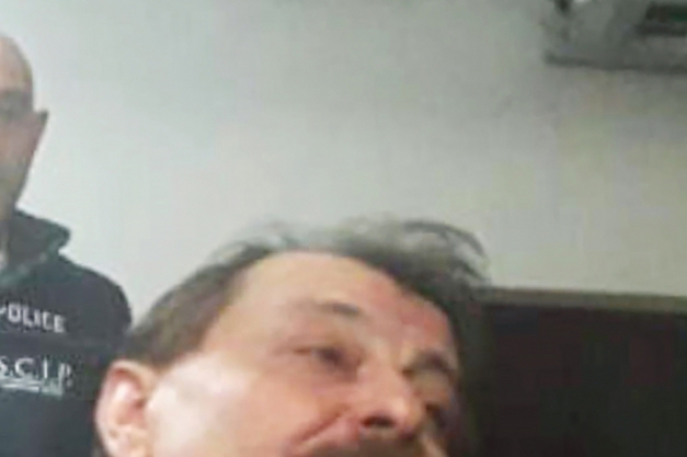 Macaque in the trees