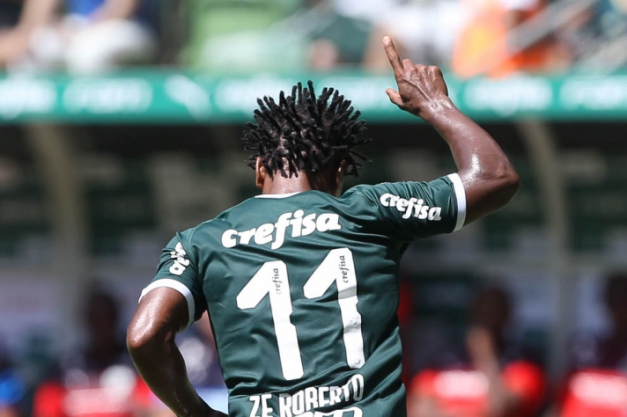 Macaque in the trees