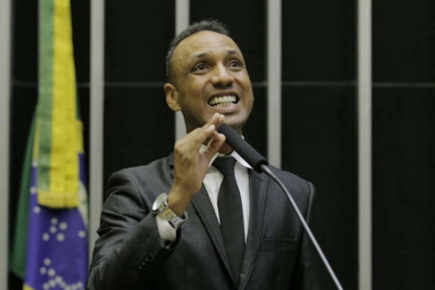 Macaque in the trees