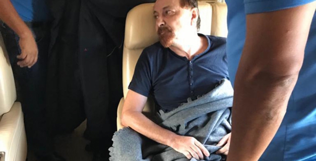 Macaque in the trees