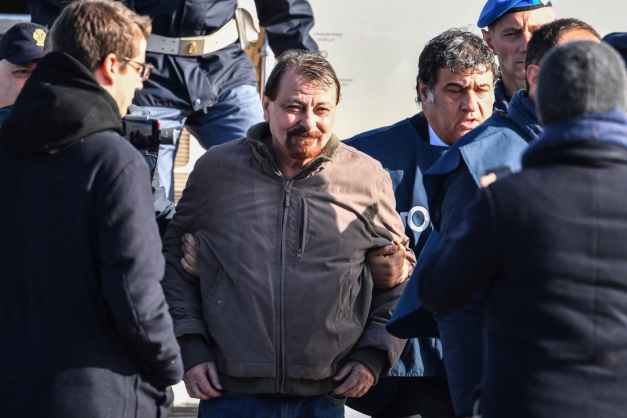 Macaque in the trees