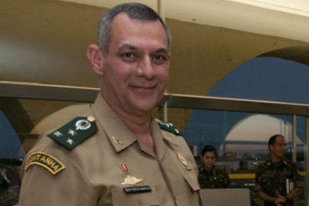 Macaque in the trees