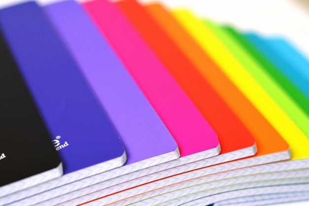 Macaque in the trees