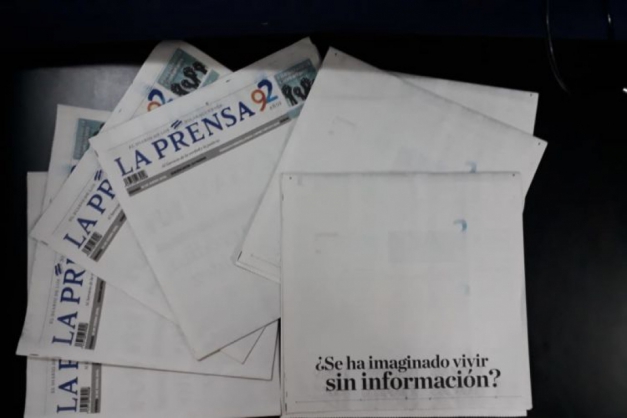 Macaque in the trees