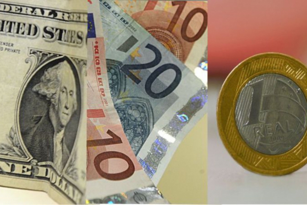 Macaque in the trees