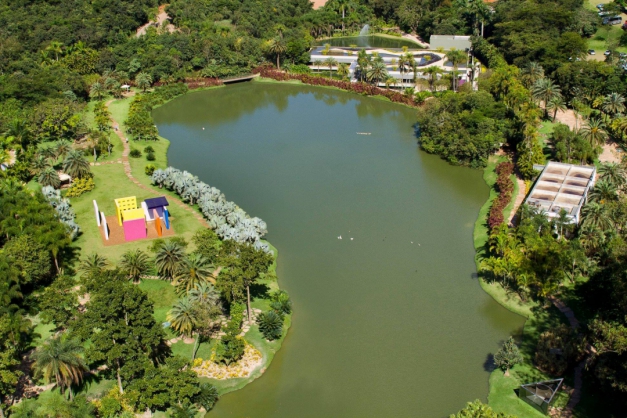 Macaque in the trees