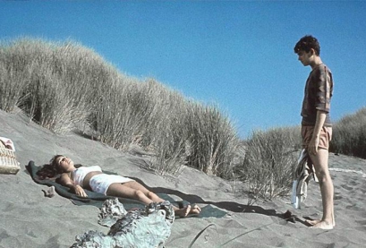 Macaque in the trees