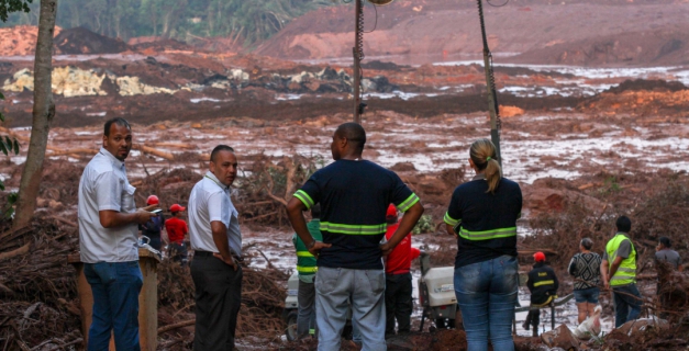 Macaque in the trees