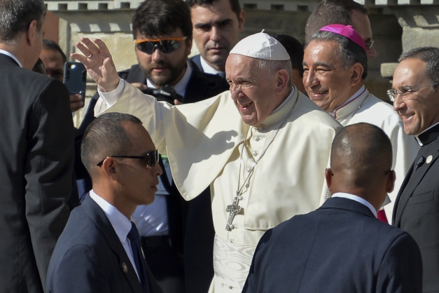 Macaque in the trees