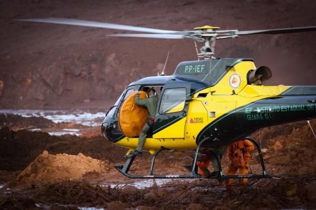 Macaque in the trees