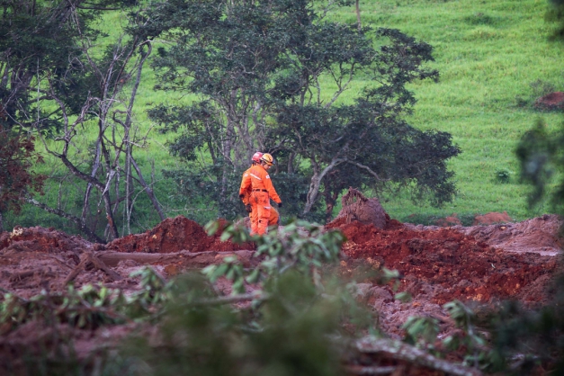 Macaque in the trees