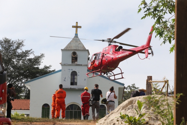 Macaque in the trees