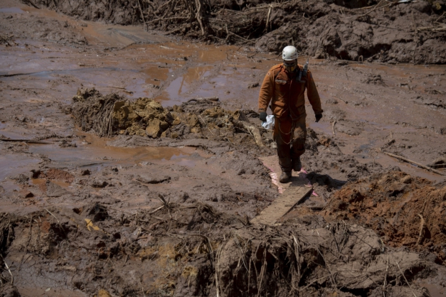 Macaque in the trees