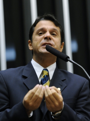 Macaque in the trees