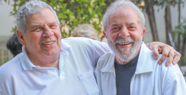 Macaque in the trees