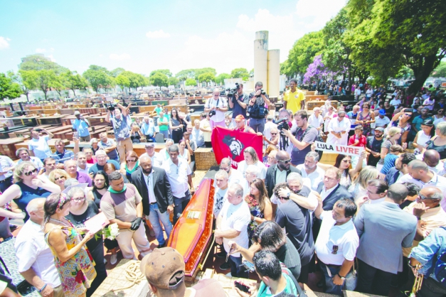 Macaque in the trees