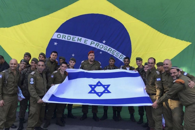 Macaque in the trees