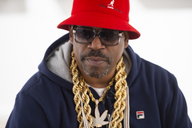 Macaque in the trees