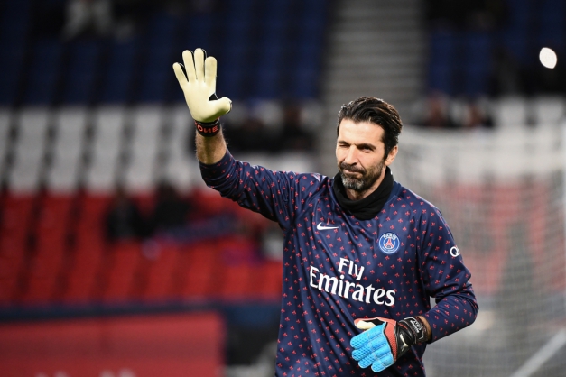 Macaque in the trees