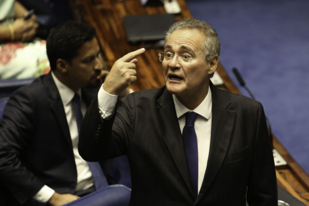 Macaque in the trees