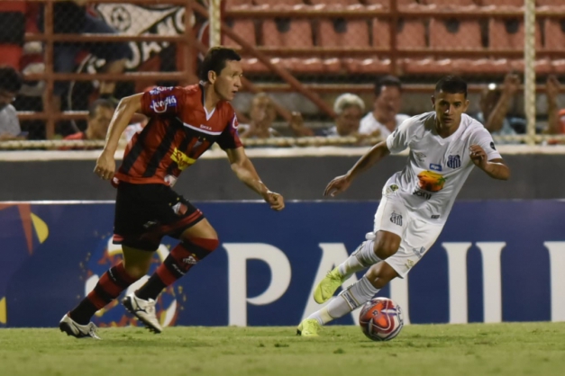 Macaque in the trees