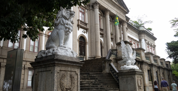 Macaque in the trees