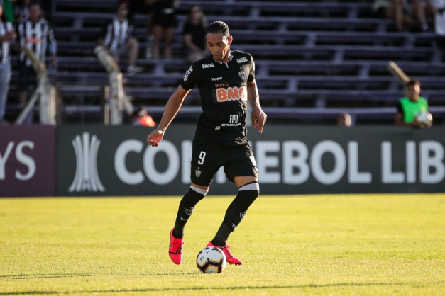 Macaque in the trees