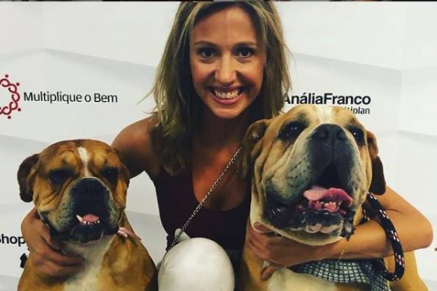 Macaque in the trees