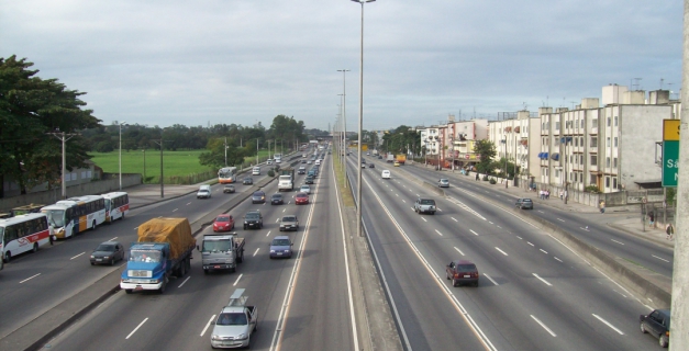 Macaque in the trees