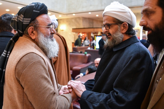Macaque in the trees