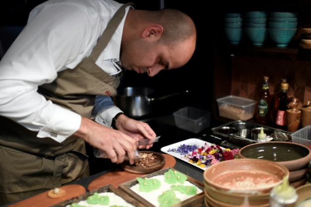 Macaque in the trees